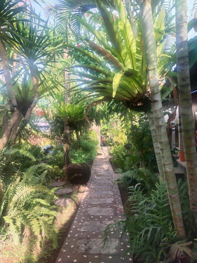 Comeback Guesthouse Canggu Eksteriør billede