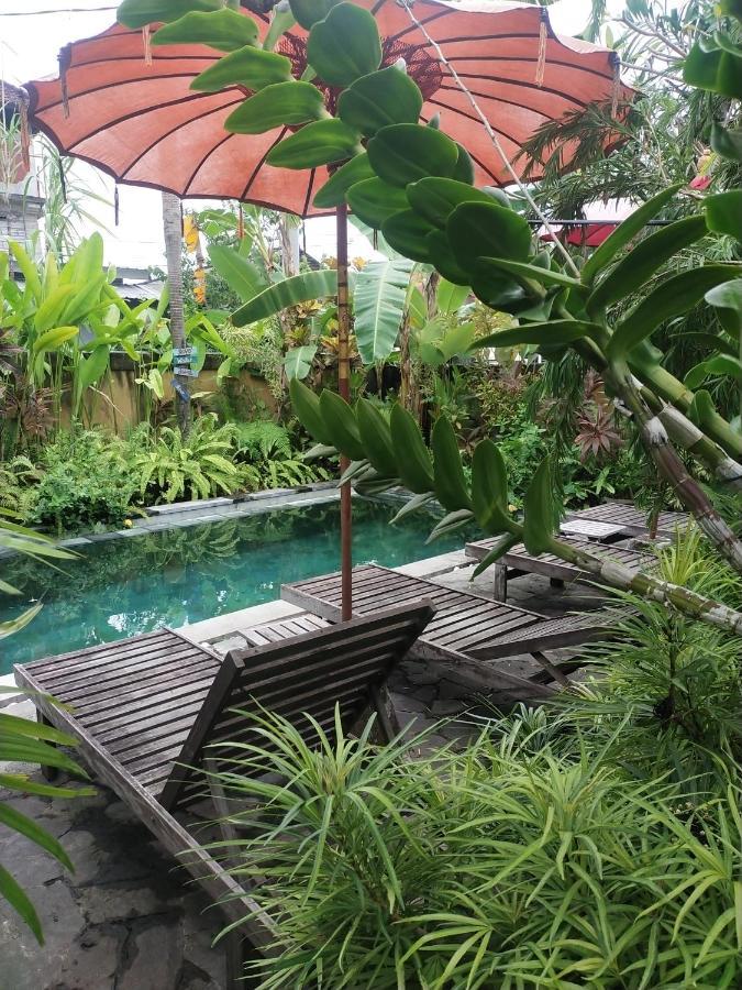 Comeback Guesthouse Canggu Eksteriør billede