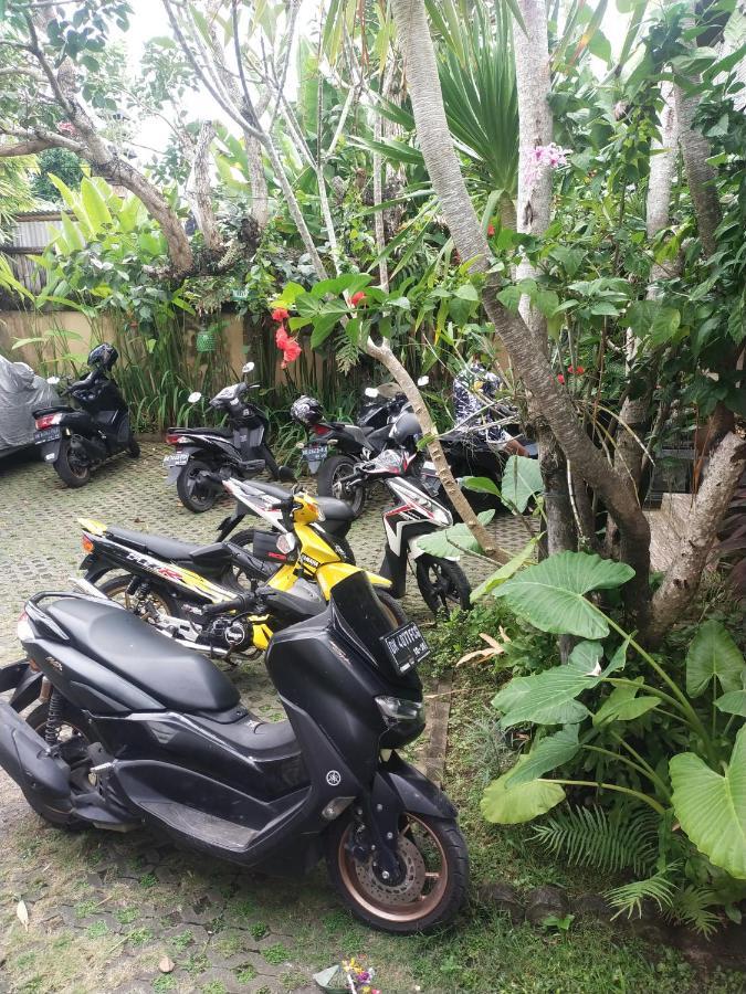 Comeback Guesthouse Canggu Eksteriør billede