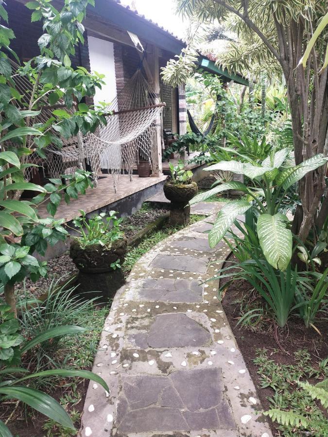 Comeback Guesthouse Canggu Eksteriør billede