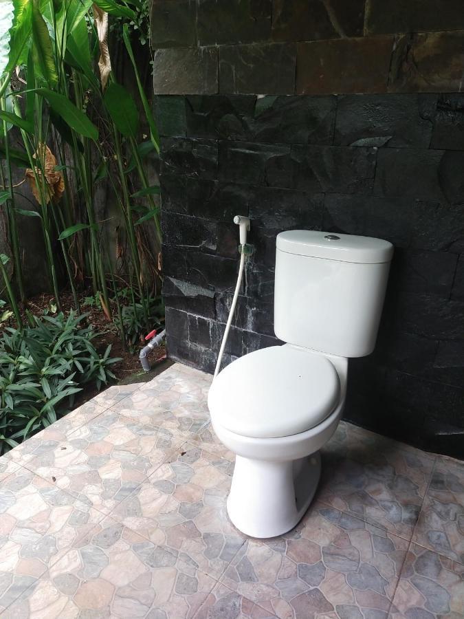 Comeback Guesthouse Canggu Eksteriør billede