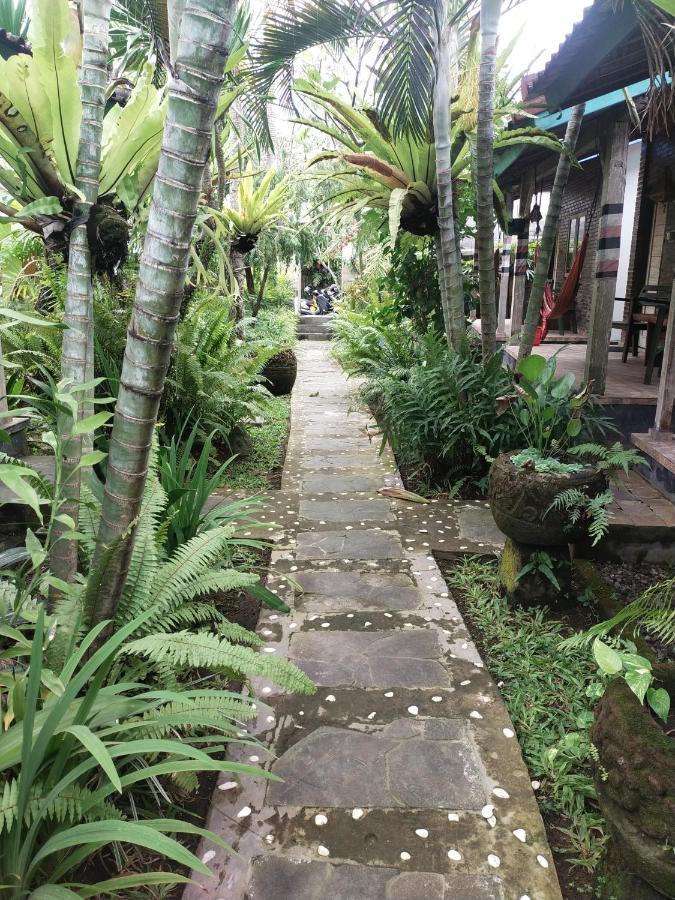 Comeback Guesthouse Canggu Eksteriør billede