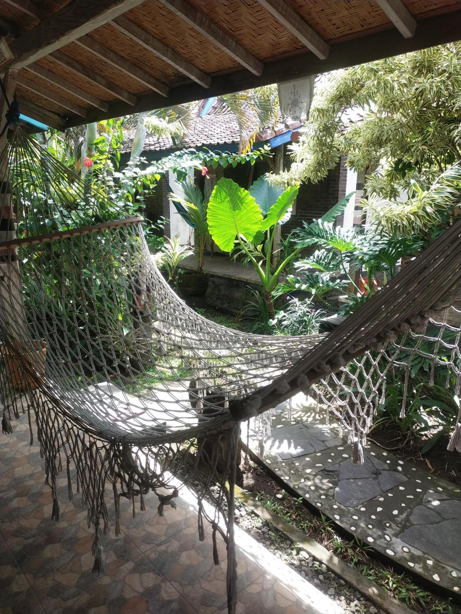 Comeback Guesthouse Canggu Eksteriør billede