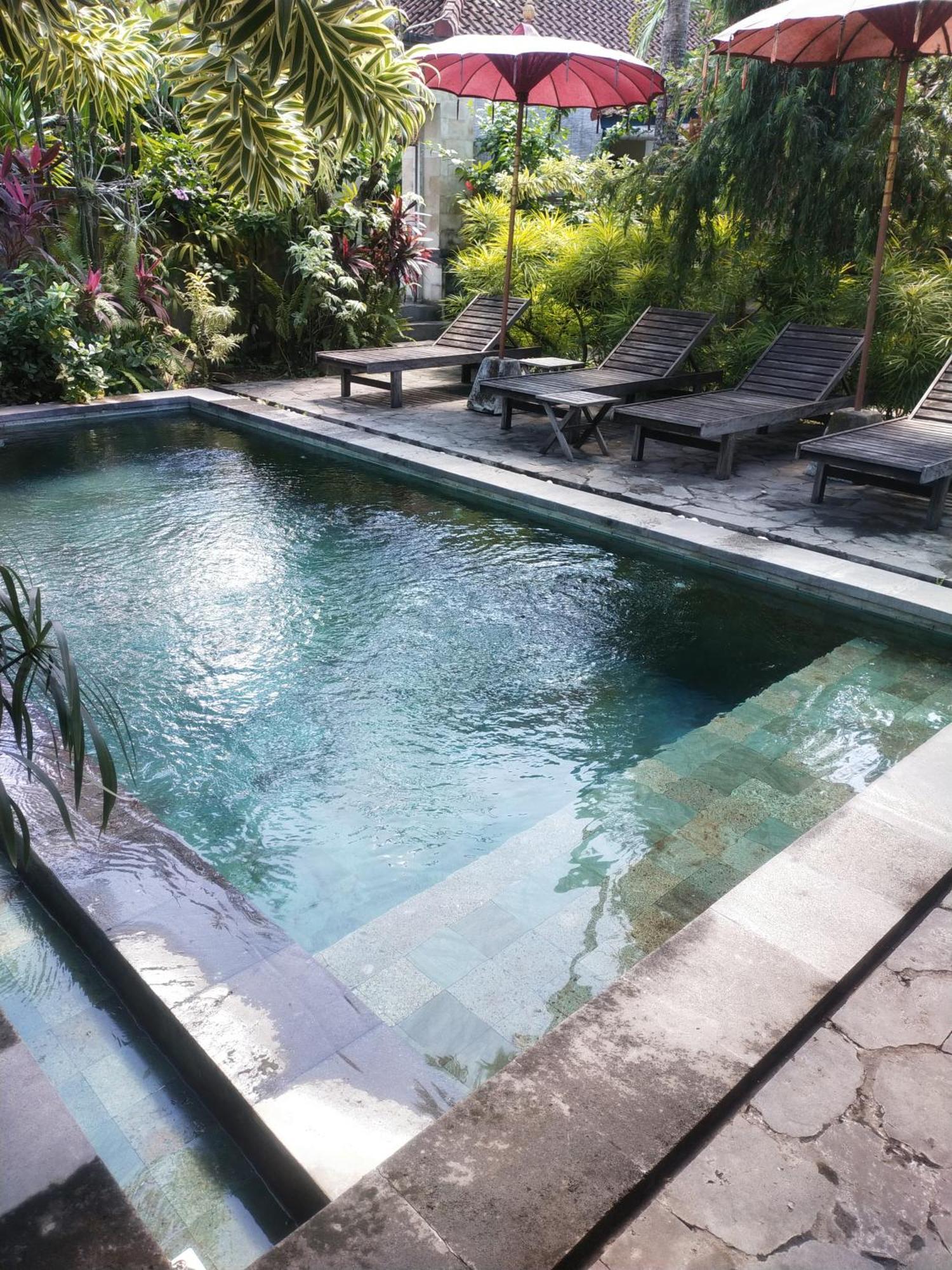 Comeback Guesthouse Canggu Eksteriør billede