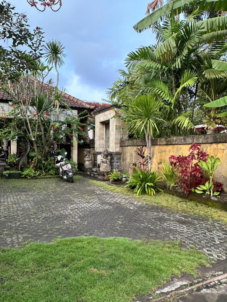 Comeback Guesthouse Canggu Eksteriør billede